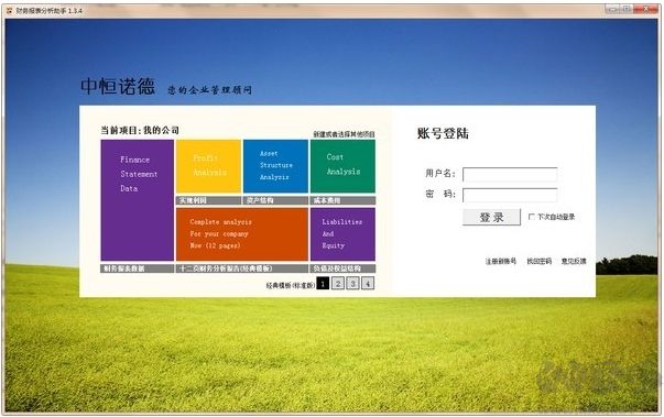 财务报表分析助手