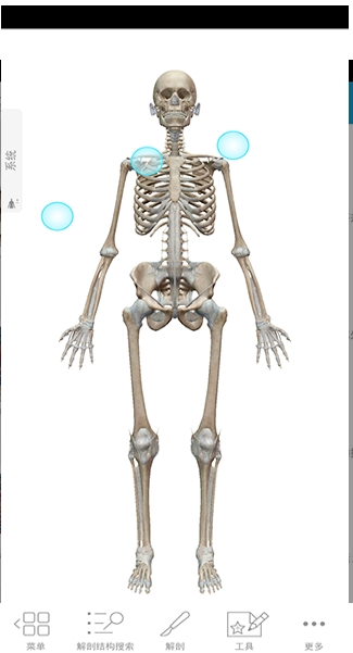 人体解剖学图谱APP