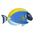 Sim AQUARIUM 2(鱼缸桌面屏保) v2.6最新版
