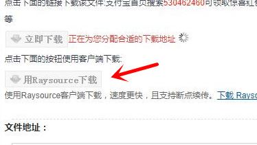 RaySource飞速网网盘