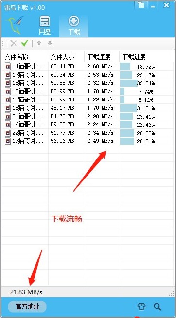 雷鸟下载器