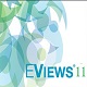 Eviews中文版 v11破解版