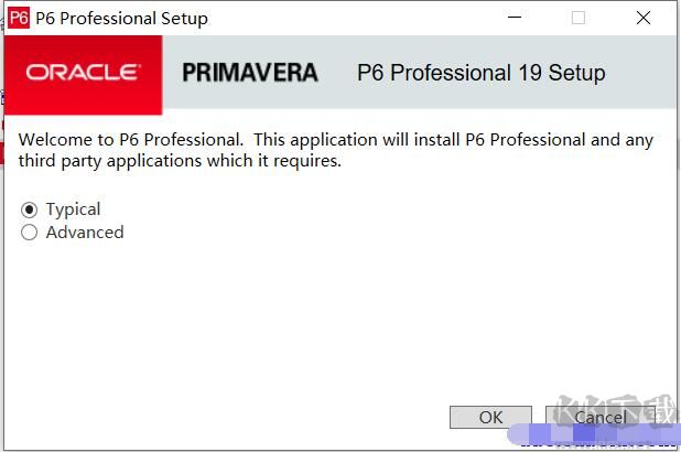 Primavera P6(项目管理软件)