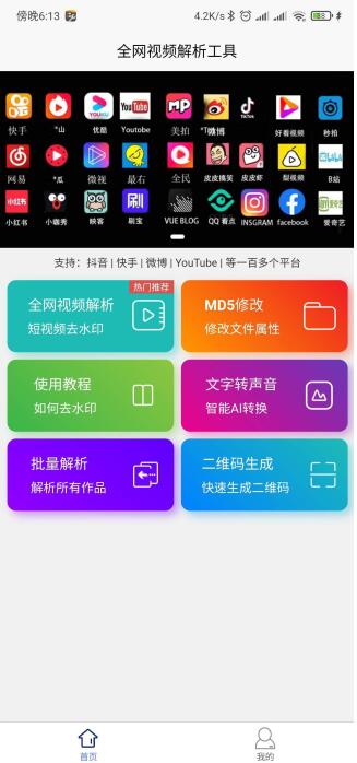 全网视频解析工具破解版