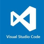 VSCODE中文破解版