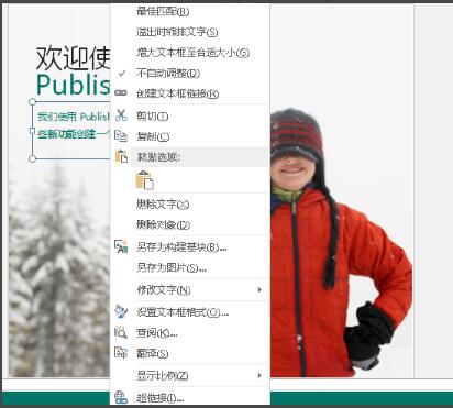 Publisher破解版下载