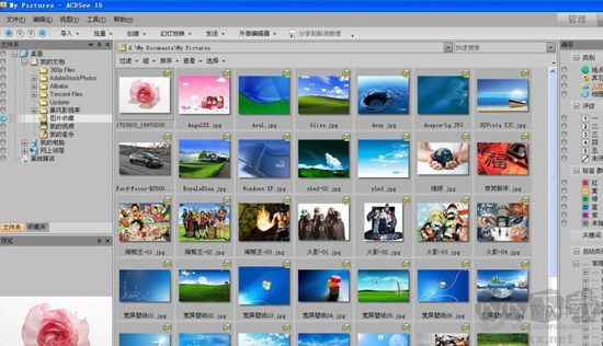 ACDSee5.0简体中文版截图