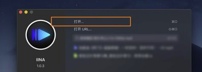 IINA播放器Windows版下载