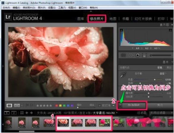 Lightroom2019使用帮助1