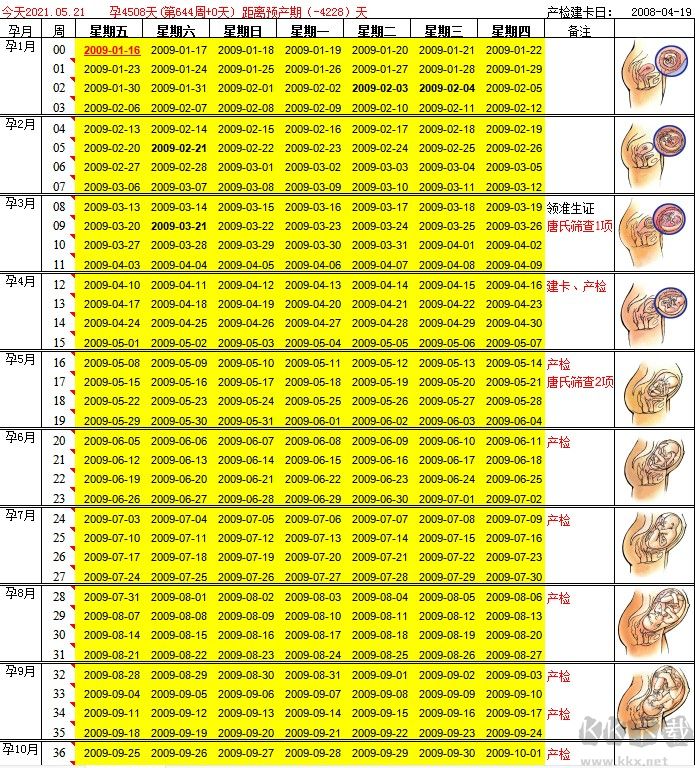 怀孕周期计算辅助表格