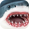 鲨鱼模拟器 v1.3安卓版