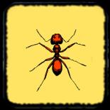 蚂蚁模拟器 安卓版v2.0