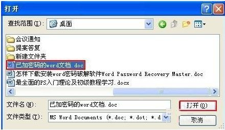 Word Password Recovery Master