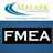 FMEA(Failure Mode and Effect Analysis)