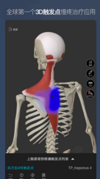 维萨里3D解剖