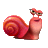 蜗牛影视盒 v1.0.3.1 绿色版