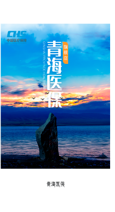 青海医保网上服务大厅