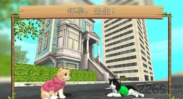 猫咪生存模拟器[无限金币]