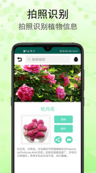 识花草APP