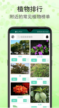 识花草APP