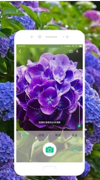 识物APP(拍照识物)