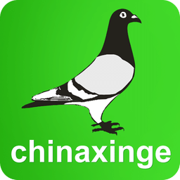 中国信鸽信息网 v2022