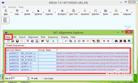 mega破解版下载