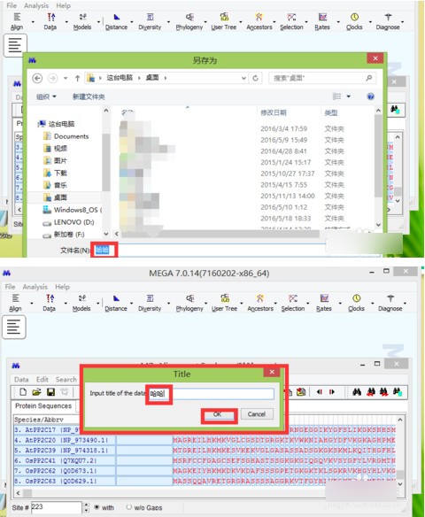 mega破解版下载