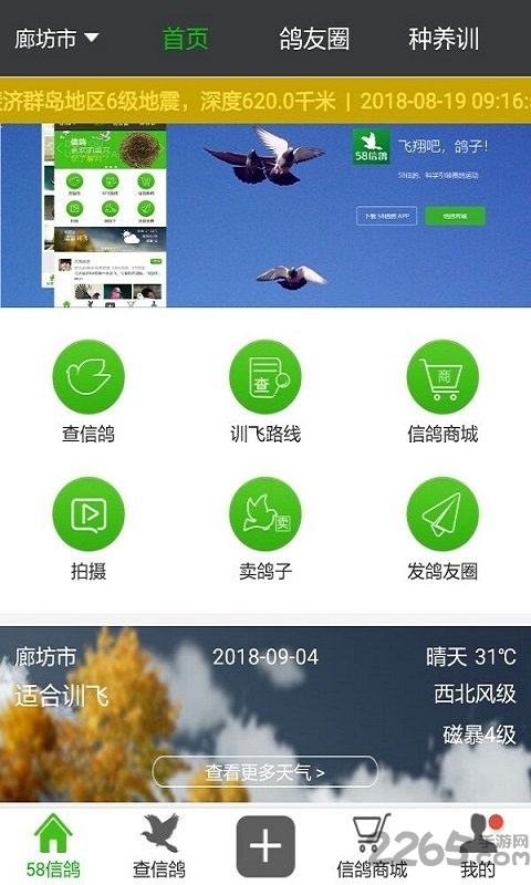 58信鸽APP