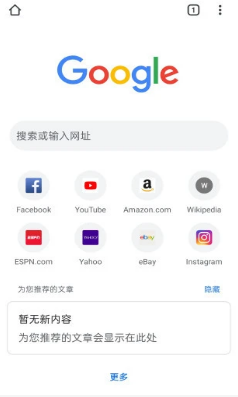 谷歌浏览器Google Chrome