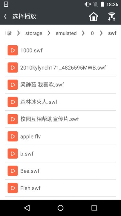 网极SWF播放器