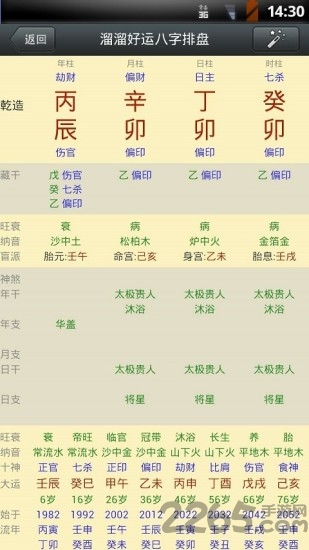 溜溜好运八字排盘