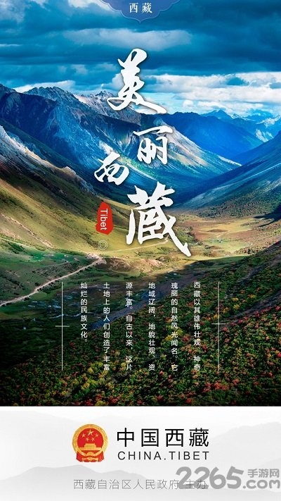 西藏政务