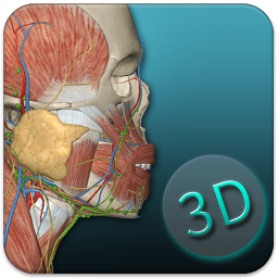 人体解剖学图集3D