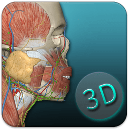 人体解剖学图集3D安卓版v3.14.1