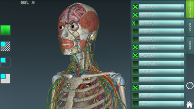 人体解剖学图集3D