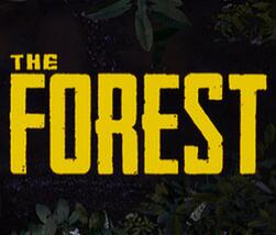 森林十五项游戏修改器