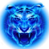 四虎影视APP最新版v2.0.4