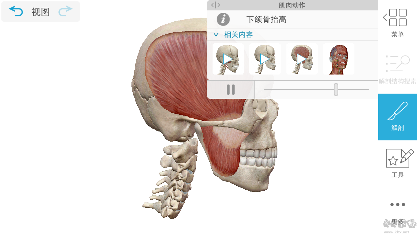 人体解剖学图谱