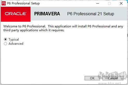 项目管理软件P6 Pro