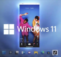 win11安卓子系统(Android 12.1) 最新独立安装包