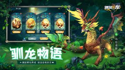 遇见龙手游