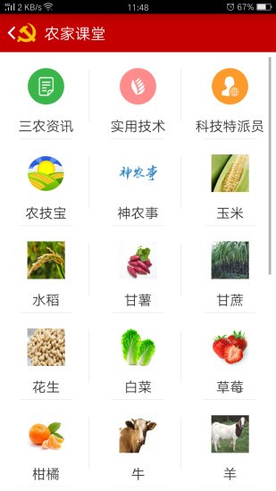 八桂先锋APP