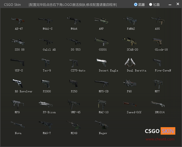 CSGO Skin(CSGO换肤软件)