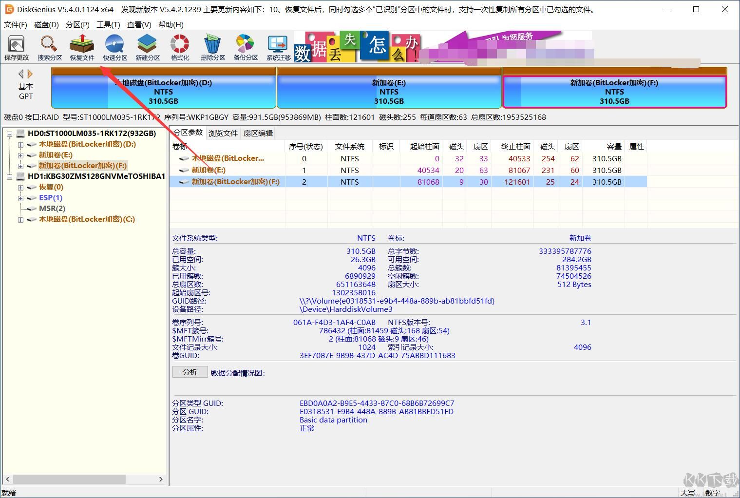 DiskGenius Pro专业绿色版