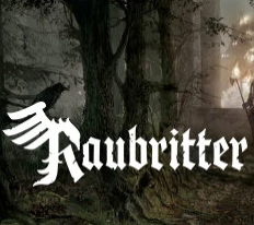 盗贼骑士十六项修改器 无封安全