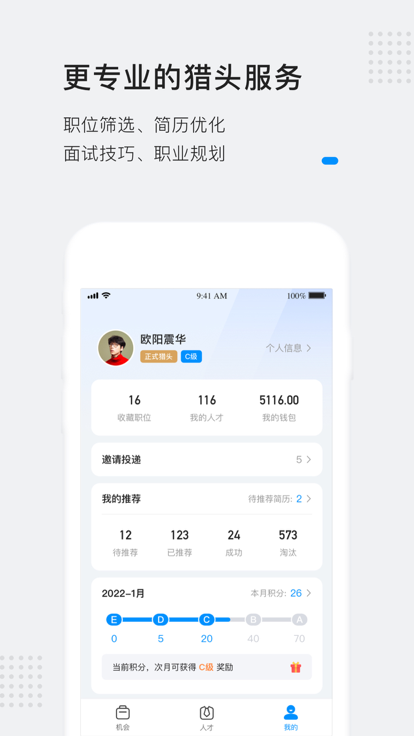 灵鸽
