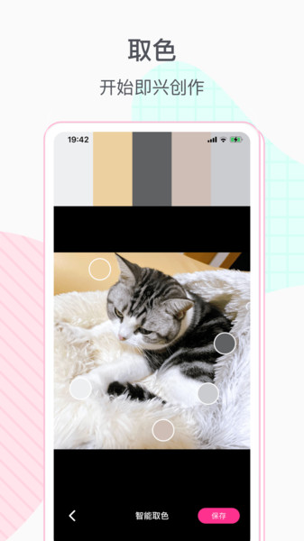 格子酱APP
