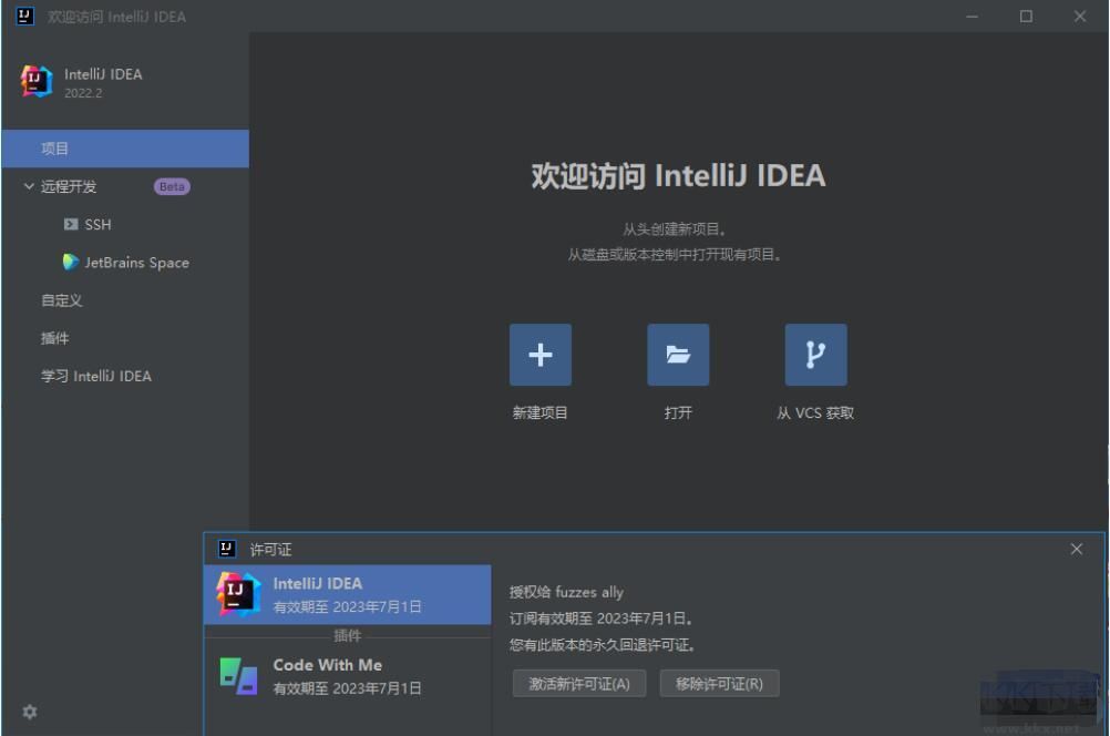 IntelliJ IDEA Ultimate 2022