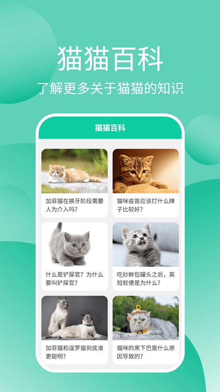 猫猫交流器